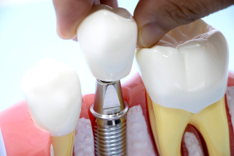見た目、噛み心地が自然