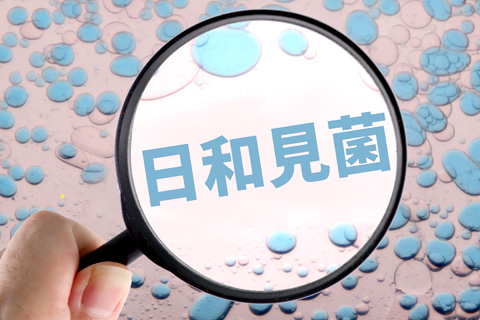 体の細菌は大まかに分けて3種類