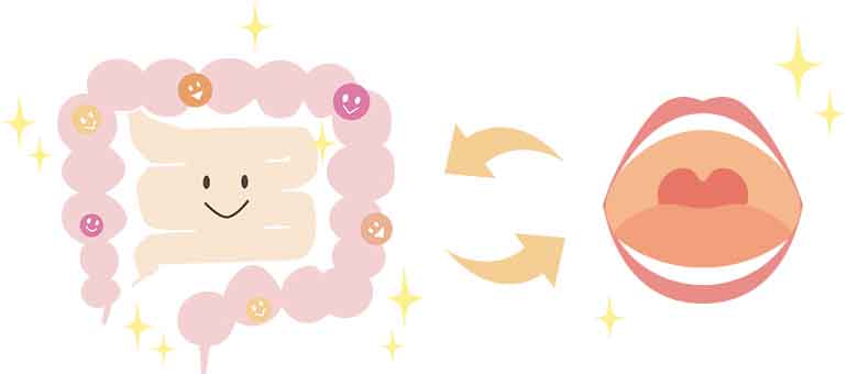 腸内フローラと口腔内フローラは関連し合っている